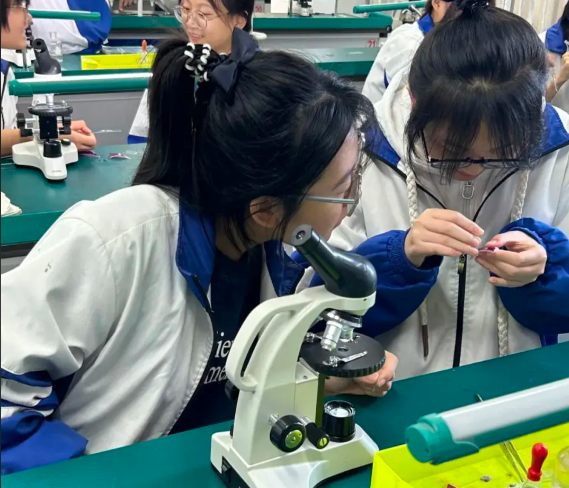 构建起网络讲堂区域教研的数字教育新生